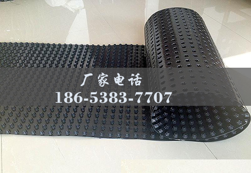 排水板廠家http://www.www.lhfzfs.cn/