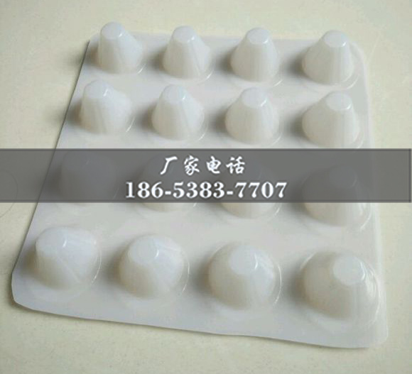 排水板廠家http://www.www.lhfzfs.cn/