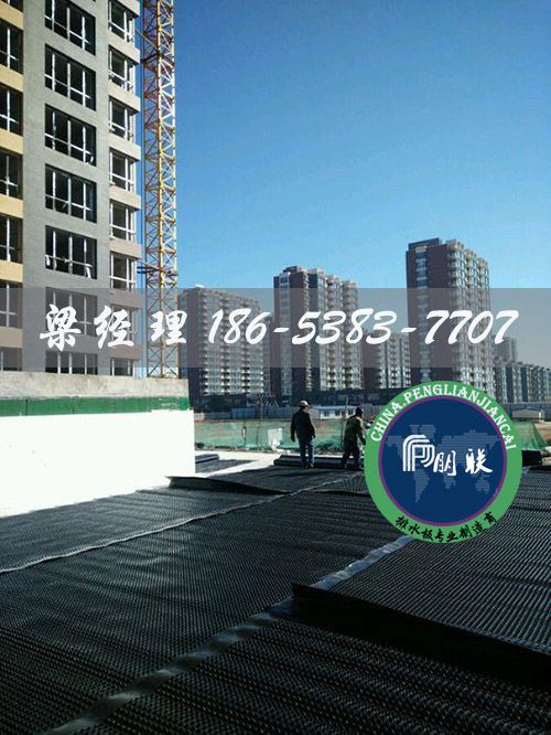 排水板廠家http://www.www.lhfzfs.cn/
