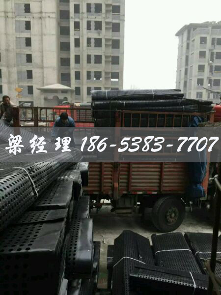排水板廠家http://www.www.lhfzfs.cn/